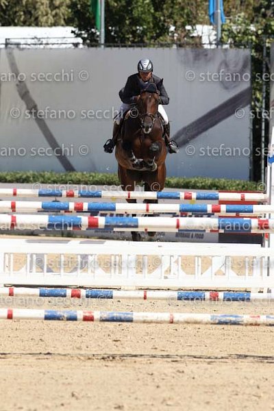 D ANTONI_D ACORADO_ECC_2011_SS3_5140.jpg